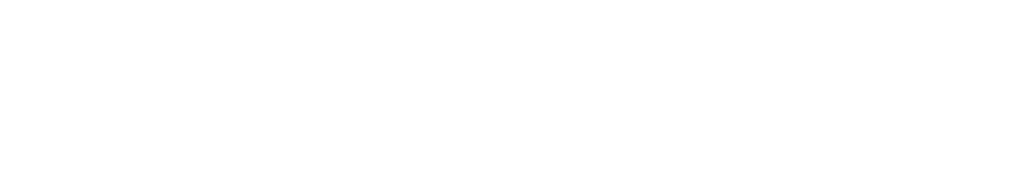 Seldon ロゴ(白)